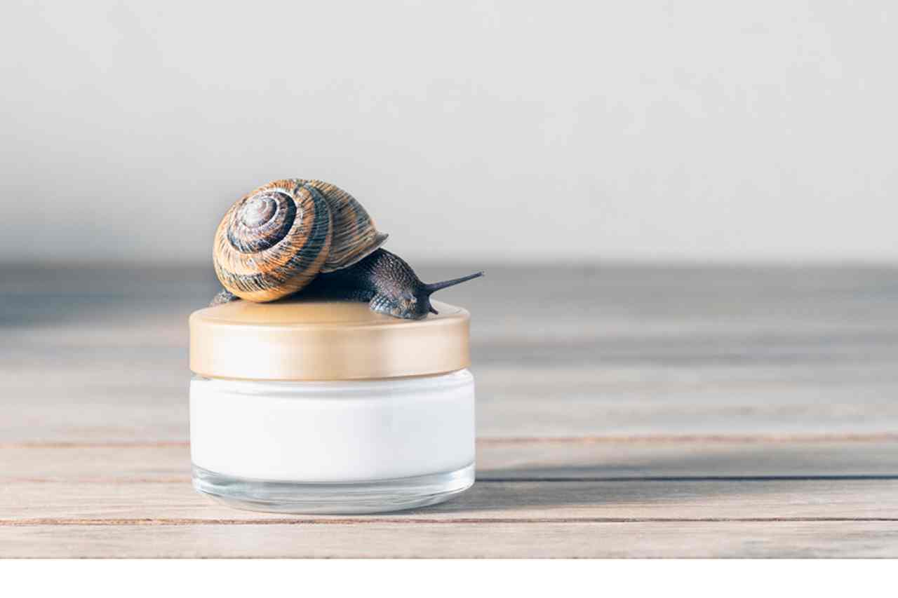 Snail mucin: What, how one can use, subsequent massive development in skincare?