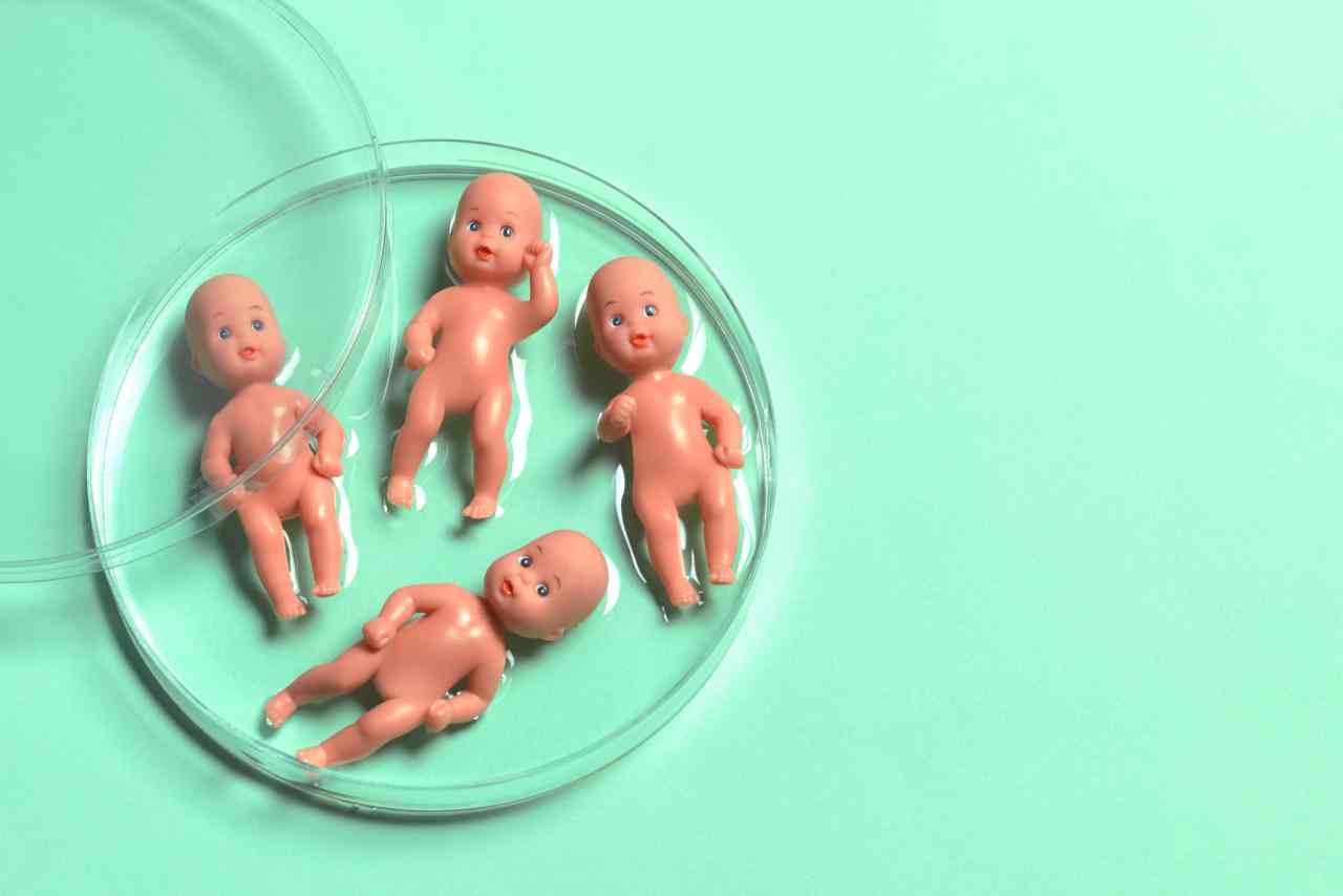 IVF: How profitable is assisted replica and what does it price?