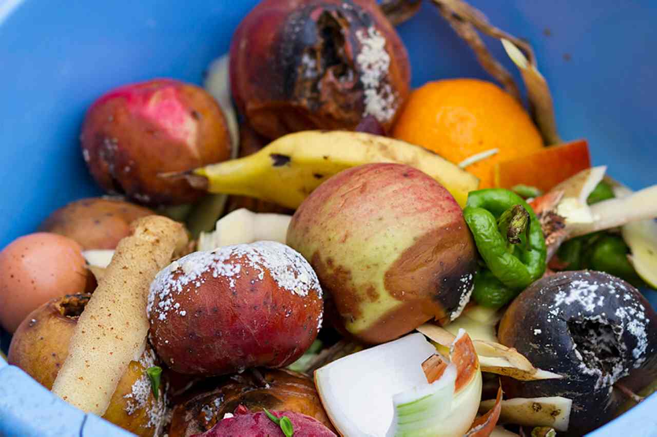 Meals waste: Find out how to finest retailer contemporary produce to make it last more