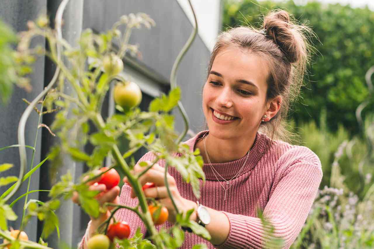 Advantages of gardening: Why rising crops is nice in your well being