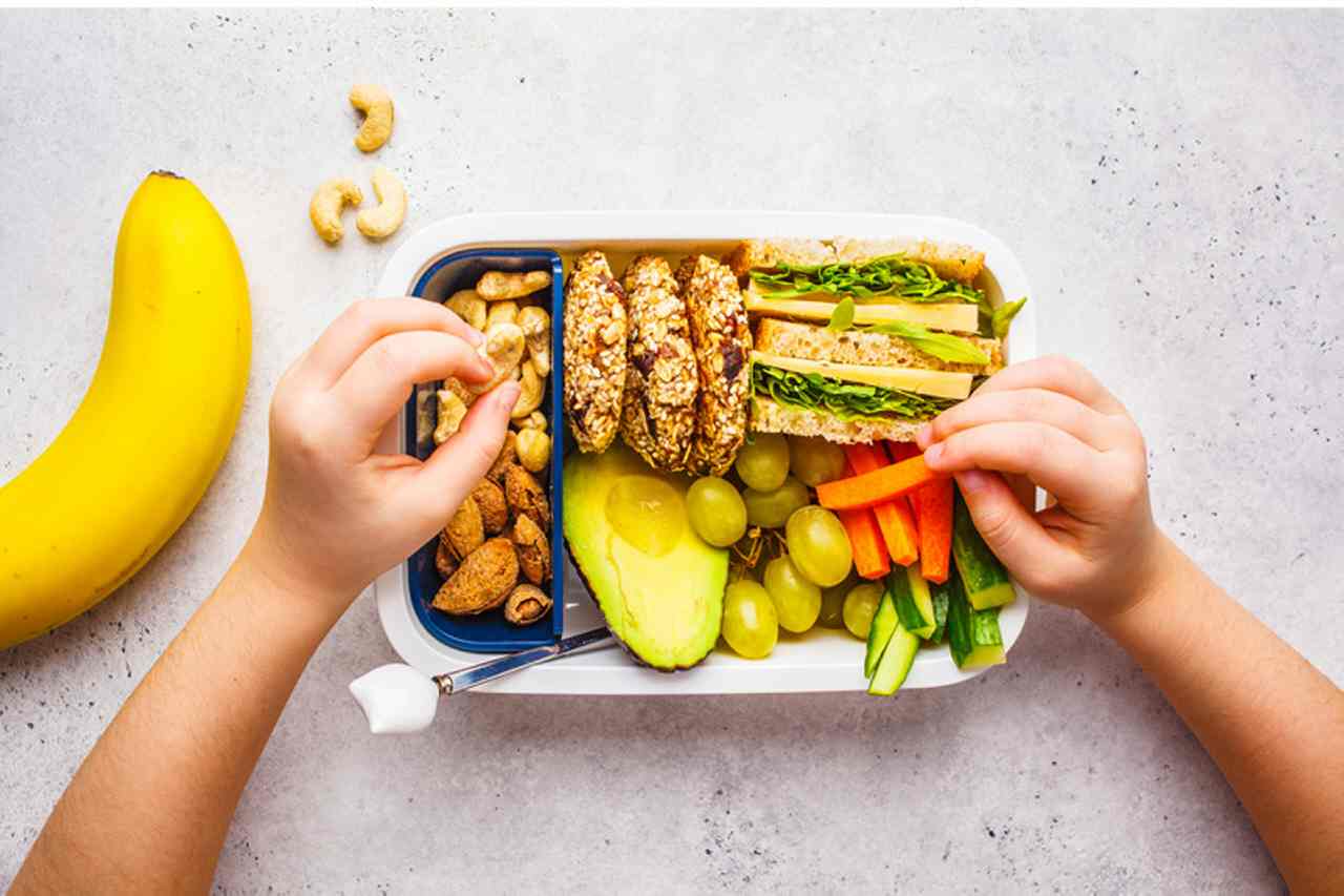 Inexperienced lunch packing containers: Find out how to pack a sustainable lunch in your youngster